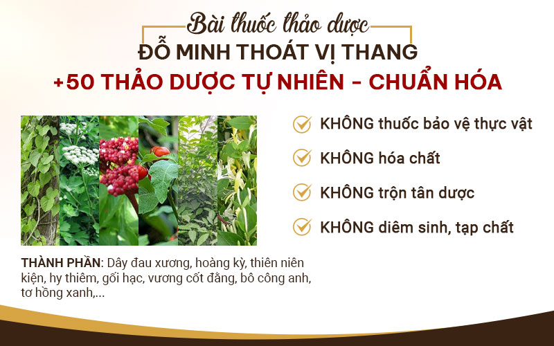 Thành phần thuốc Đỗ Minh Thoát Vị Thang