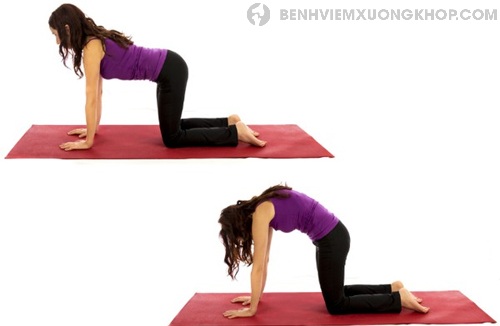bài tập yoga chữa thoái hóa đốt sống lưng tư thế đơn giản
