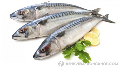 Bệnh thấp khớp nên ăn gì? Thực phẩm giàu omega 3