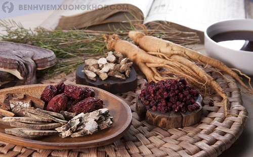 Thoái hóa khớp gối dùng thuốc dân gian ít tốn kém