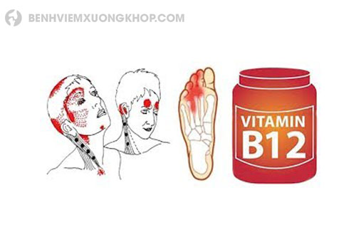 Vitamin B12 có công dụng gì?