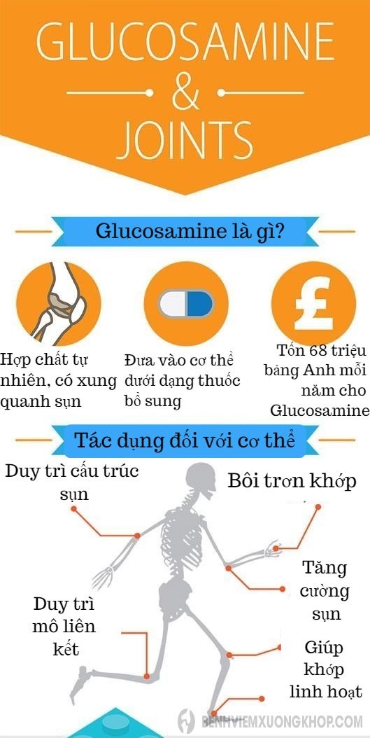 Tác dụng của glucosamine với xương khớp