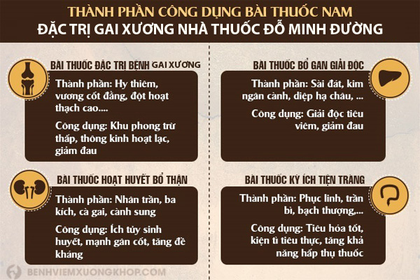 Bài thuốc Nam gia truyền dòng họ Đỗ Minh hiện là lựa chọn số 1 của người bệnh bị gai xương tại Việt Nam hiện nay