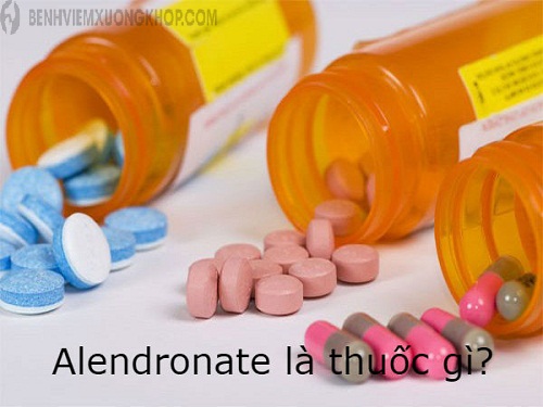 Thuốc Alendronate là thuốc biệt dược hỗ trợ điều trị loãng xương, gãy xương ở phụ nữ
