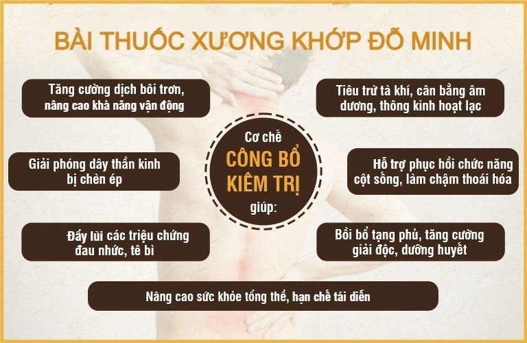 Cơ chế bài thuốc xương khớp của Đỗ Minh Đường