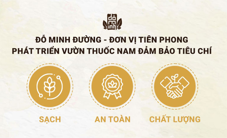 Vườn thảo dược của Đỗ Minh Đường